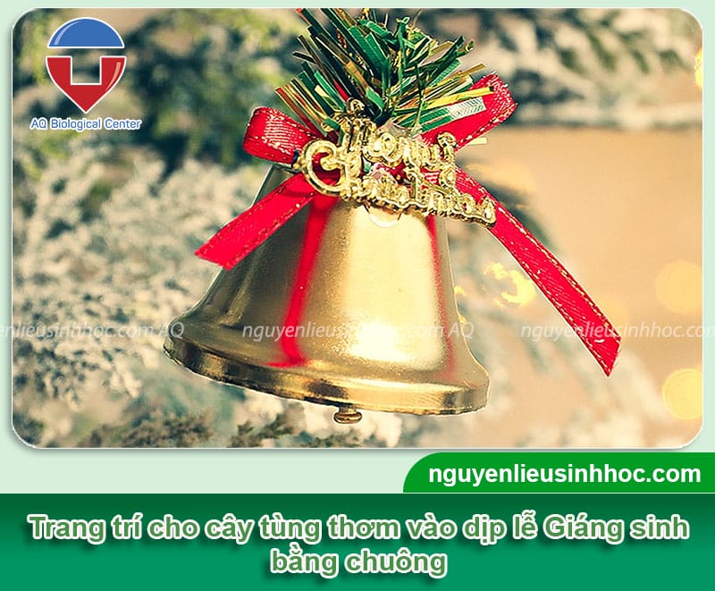 Hướng dẫn cây tùng thơm trang trí noel bằng phụ kiện đơn giản