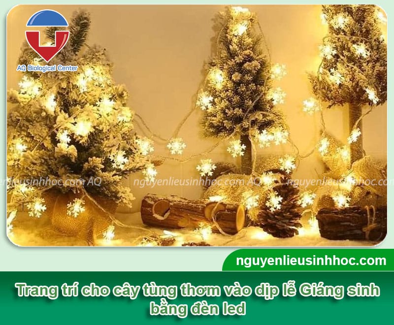 Hướng dẫn cây tùng thơm trang trí noel bằng phụ kiện đơn giản