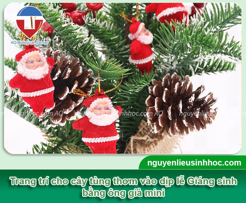 Hướng dẫn cây tùng thơm trang trí noel bằng phụ kiện đơn giản