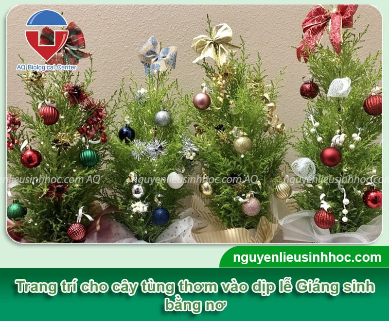 Hướng dẫn cây tùng thơm trang trí noel bằng phụ kiện đơn giản