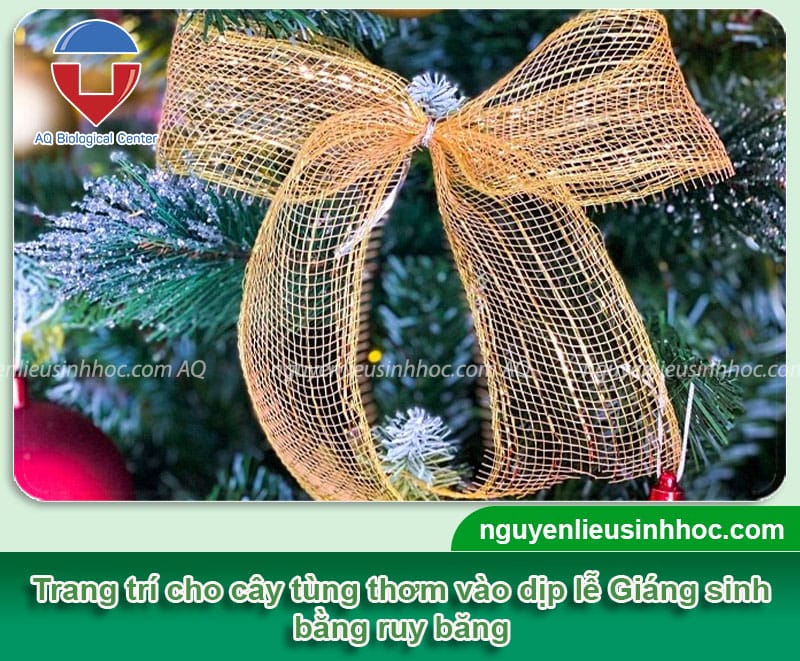 Hướng dẫn cây tùng thơm trang trí noel bằng phụ kiện đơn giản