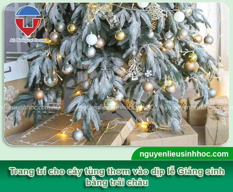 Hướng dẫn cây tùng thơm trang trí noel bằng phụ kiện đơn giản