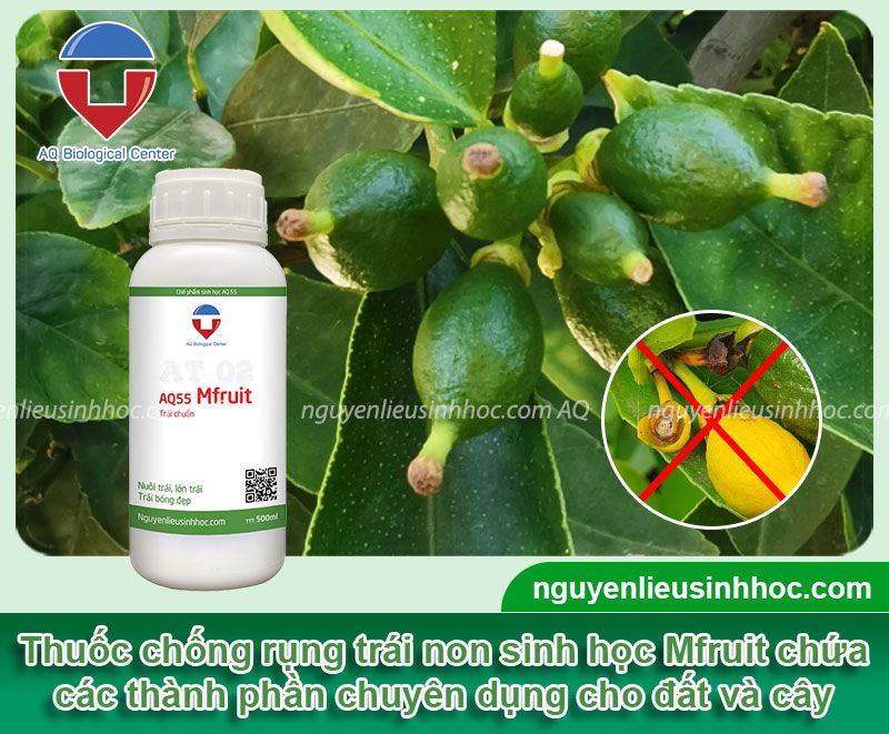 Thuốc chống rụng trái non Mfruit dưỡng lớn trái, đẹp mã