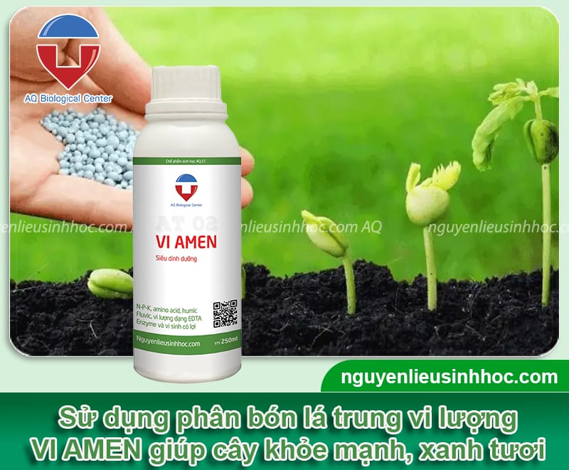 Phân bón lá trung vi lượng VI AMEN giúp cây xanh tốt, tươi khỏe