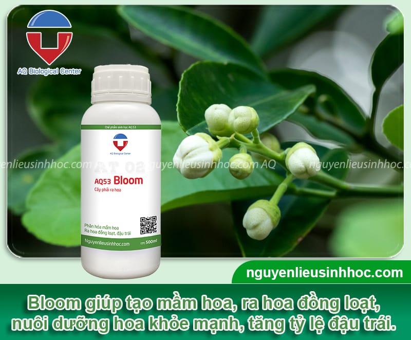 Đại lý phân bón tại Gia Lai: Sản phẩm chính hãng, uy tín, giá tốt