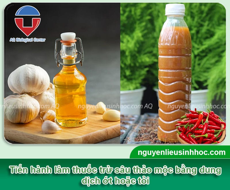 Hướng dẫn cách làm thuốc trừ sâu đơn giản, dễ thực hiện