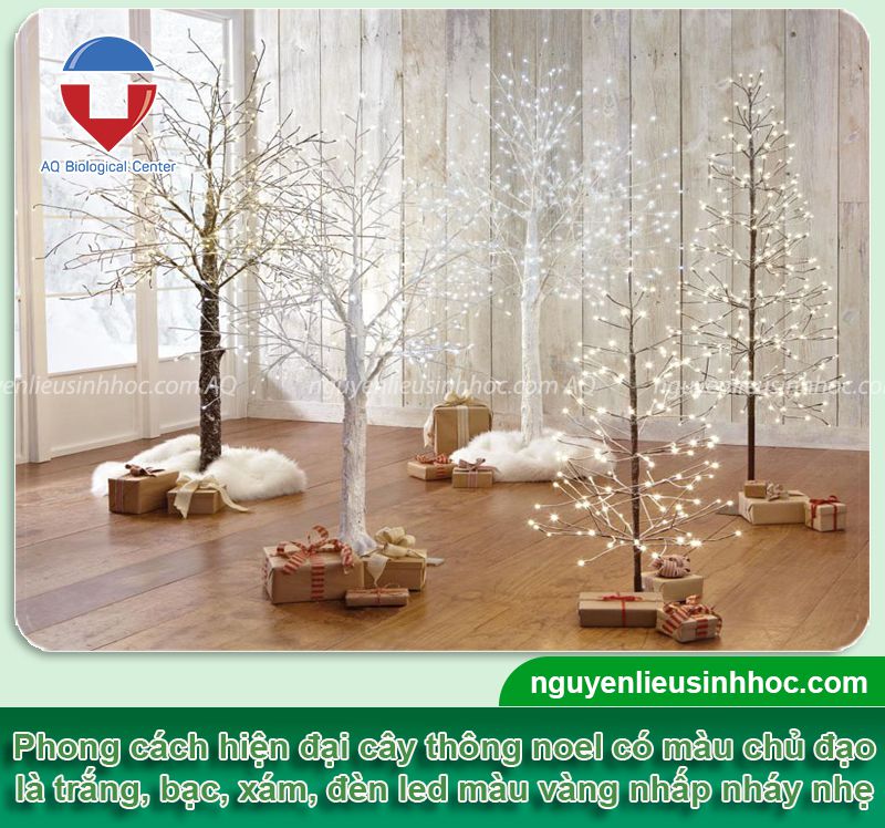 Cách trang trí cây thông noel đẹp, ý tưởng sáng tạo độc đáo