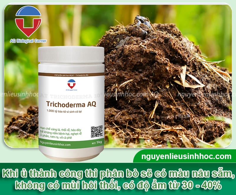 Cách ủ phân bò với trichoderma nhanh hoai mục, giàu dinh dưỡng