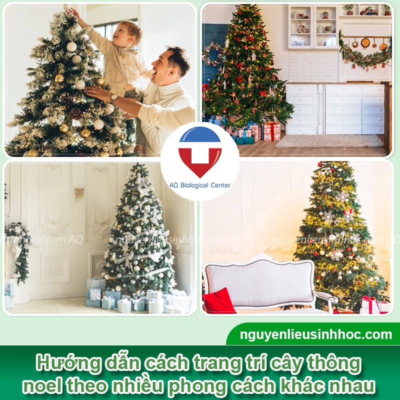 Cách trang trí cây thông noel cho người mới bắt đầu