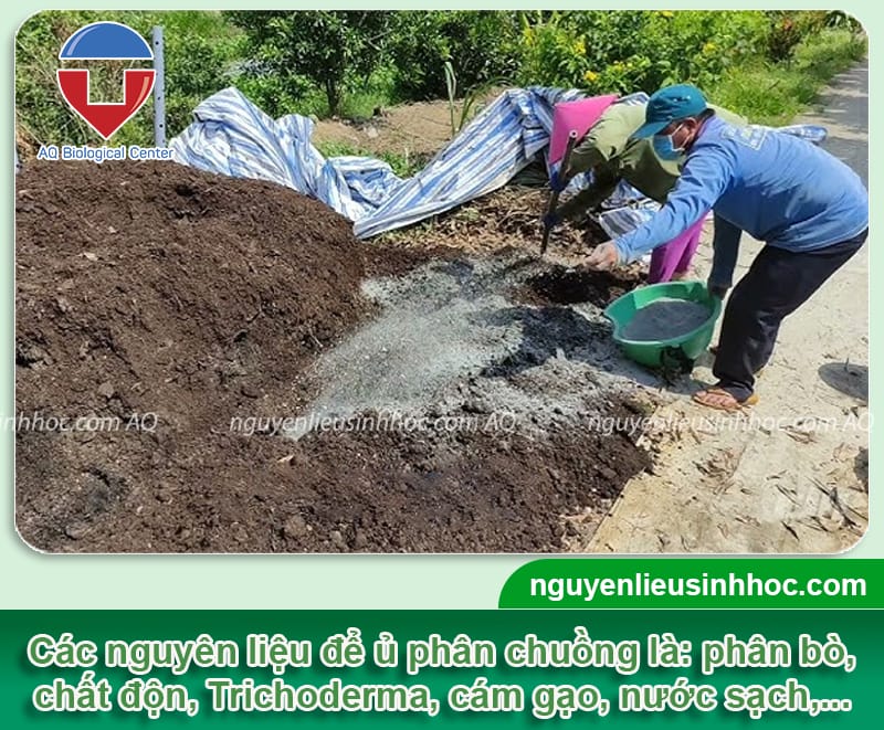 Cách ủ phân bò với trichoderma nhanh hoai mục, giàu dinh dưỡng