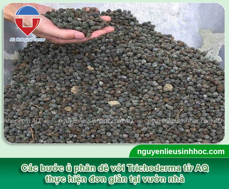 Hướng dẫn ủ phân dê bằng Trichoderma AQ đơn giản, hiệu quả