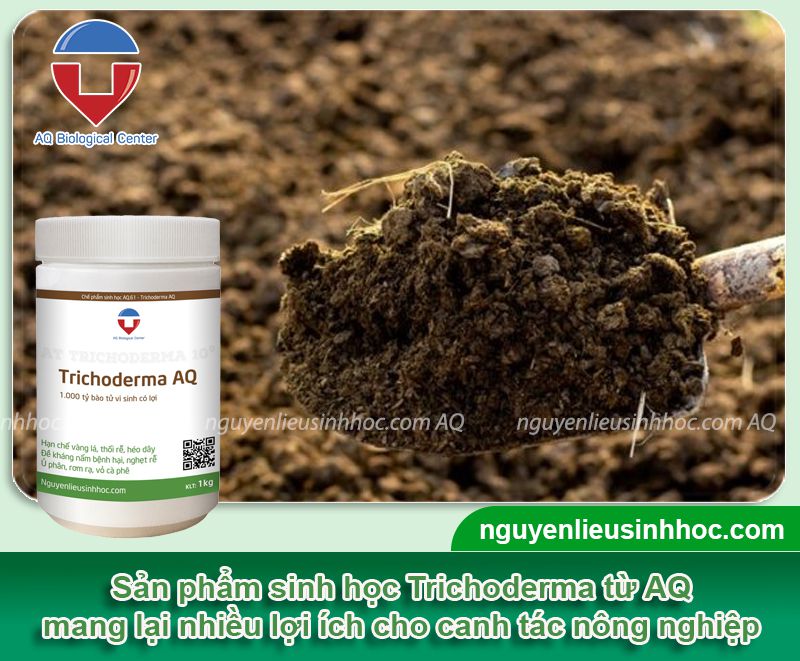 Hướng dẫn ủ phân dê bằng Trichoderma AQ đơn giản, hiệu quả