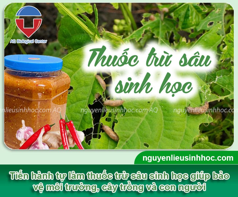 Hướng dẫn cách làm thuốc trừ sâu đơn giản, dễ thực hiện