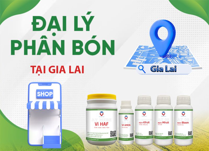 Đại lý phân bón tại Gia Lai uy tín, chính sách hấp dẫn