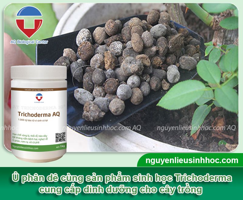 Hướng dẫn ủ phân dê bằng Trichoderma AQ đơn giản, hiệu quả