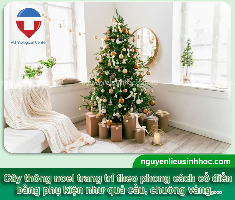 Cách trang trí cây thông noel đẹp, ý tưởng sáng tạo độc đáo