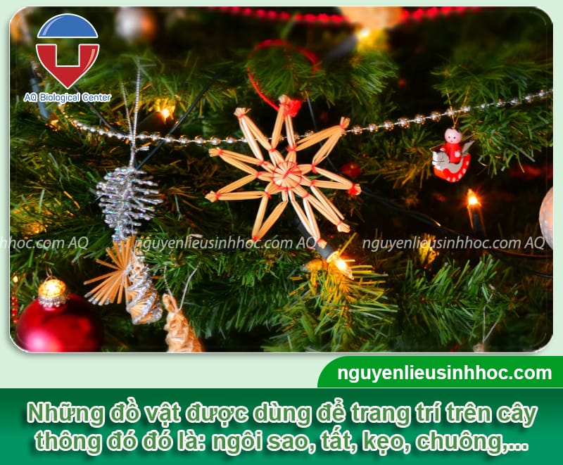 Cách trang trí cây thông noel cho người mới bắt đầu