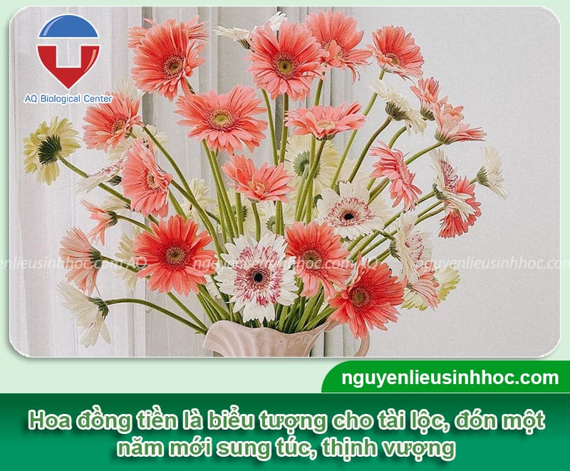 Hoa để bàn ngày Tết: Hướng dẫn chọn và cắm hoa đúng cách