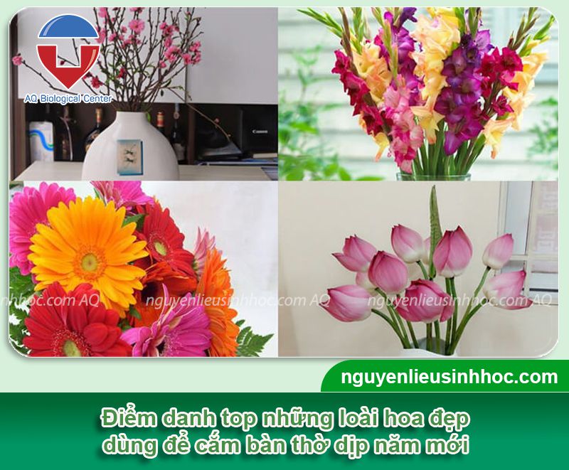 TOP 9 loại hoa để bàn thờ ngày Tết đẹp, ý nghĩa tài lộc, may mắn