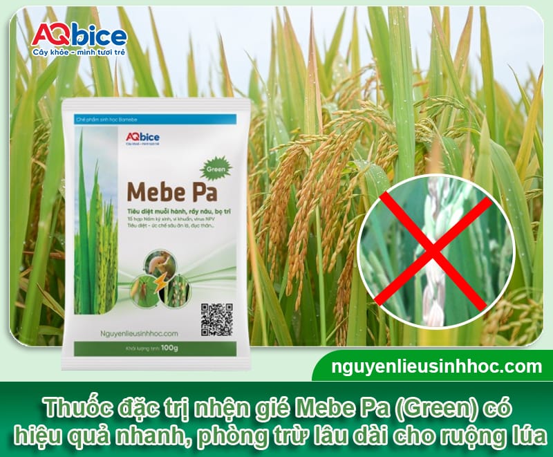 Thuốc đặc trị nhện gié Mebe Pa xử lý nhanh, bảo vệ năng suất