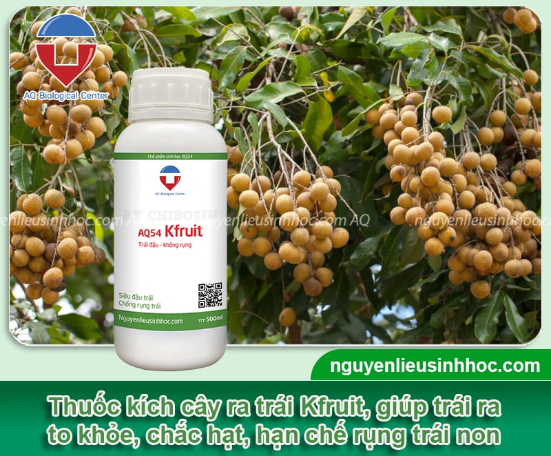 Thuốc kích cây ra trái Kfruit giúp nuôi dưỡng trái to khỏe