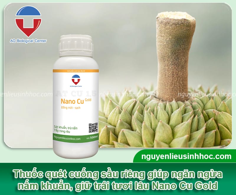 Thuốc quét cuống sầu riêng Nano Cu Gold giúp ngừa nấm khuẩn, trái tươi lâu