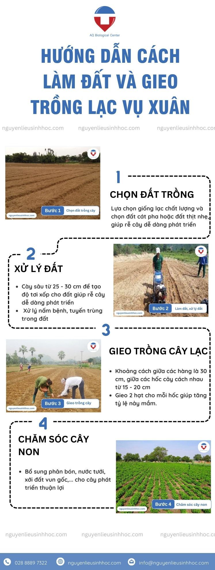 Thời gian trồng lạc vụ xuân và chăm sóc cho năng suất cao