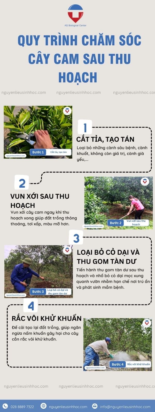 Hướng dẫn bón phân cho cây cam sau giai đoạn thu hoạch