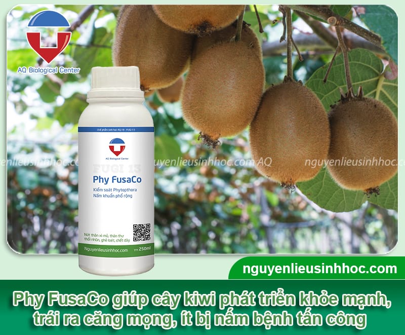 Cây kiwi có trồng được ở Việt Nam không? Thời gian trồng