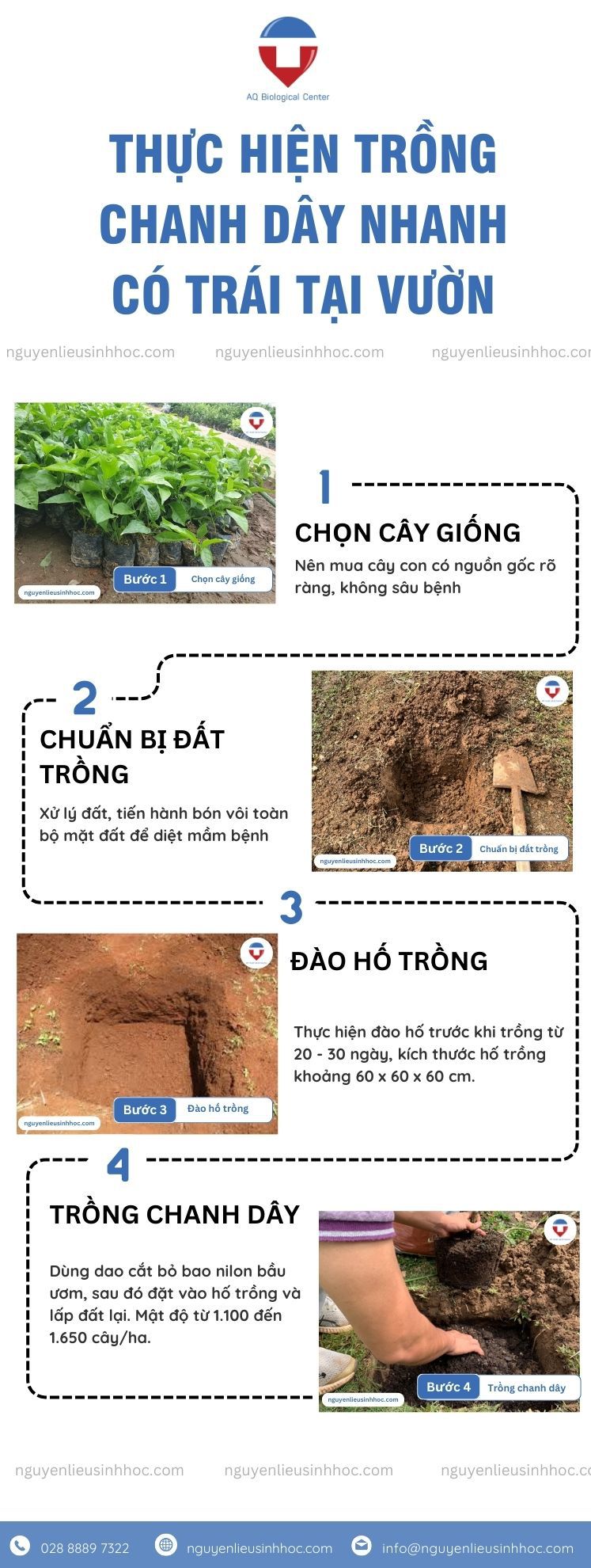 Cây chanh dây trồng bao lâu có trái? Hướng dẫn cách trồng