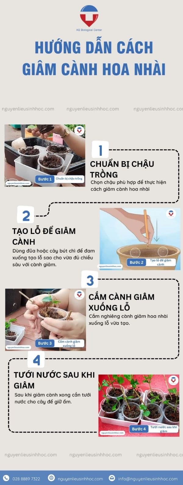 Hướng dẫn cách giâm cành hoa nhài ra rễ nhanh, đúng kỹ thuật