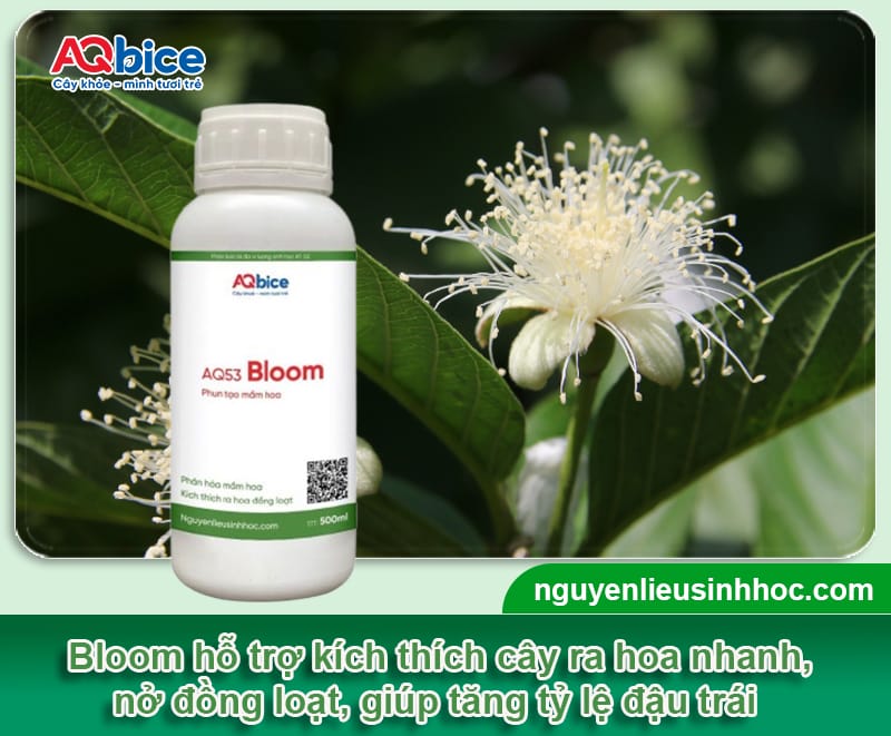 Các loại phân bón sinh học được ưa chuộng nhất năm 2025