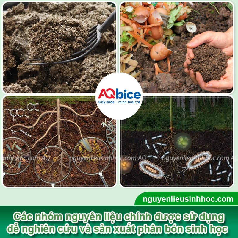 Các loại phân bón sinh học được ưa chuộng nhất năm 2025