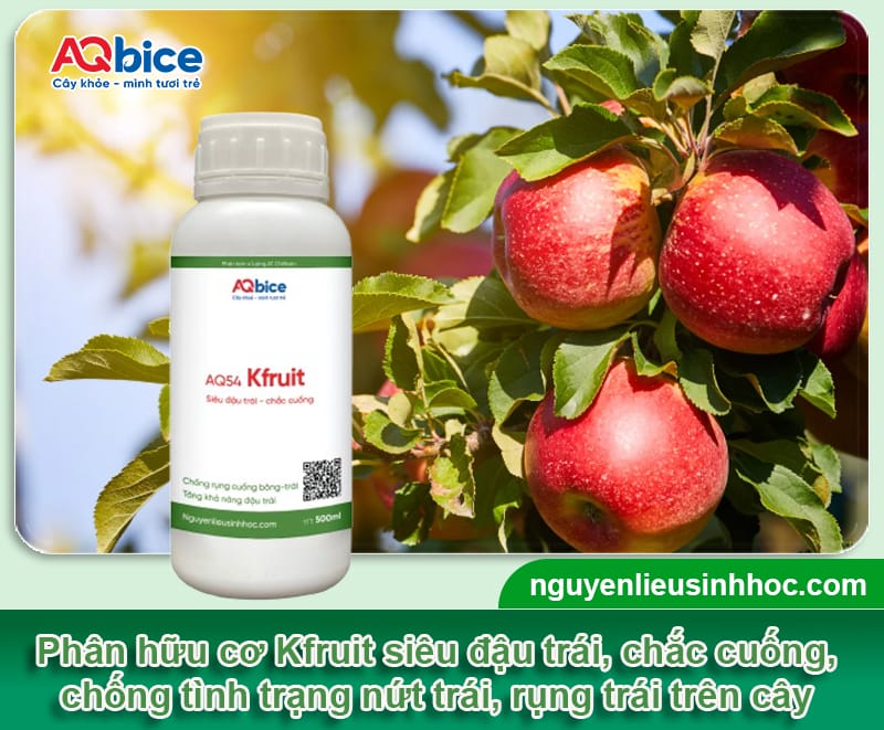 Các loại phân bón sinh học được ưa chuộng nhất năm 2025