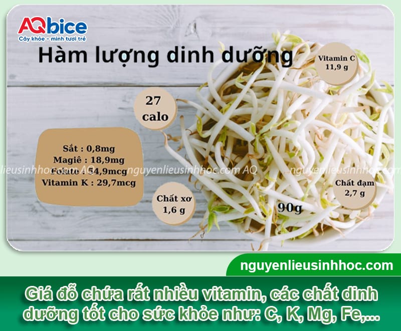 Hướng dẫn trồng giá bằng cát đơn giản, giá ra mập giòn 2 Hướng dẫn trồng giá bằng cát đảm bảo an toàn, giá mập giòn