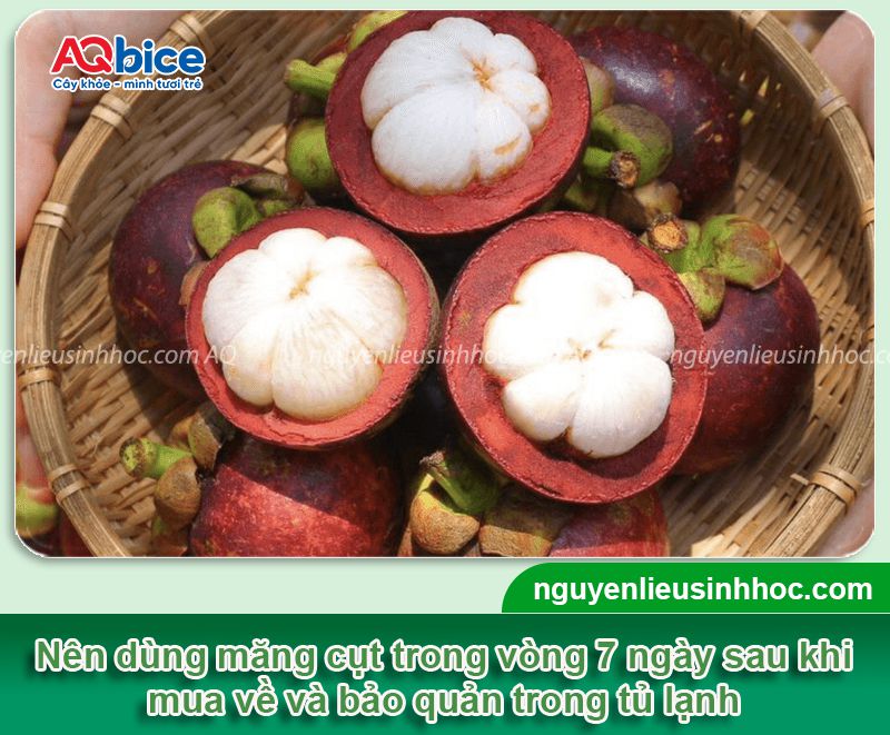 Bật mí các mẹo nhỏ áp dụng cho cách chọn măng cụt ngon