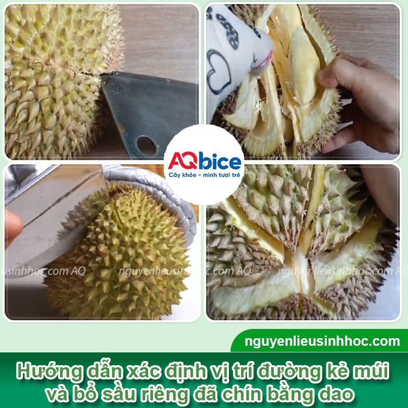 Bỏ túi 2 cách khui sầu riêng nhanh nhất đơn giản ngay tại nhà