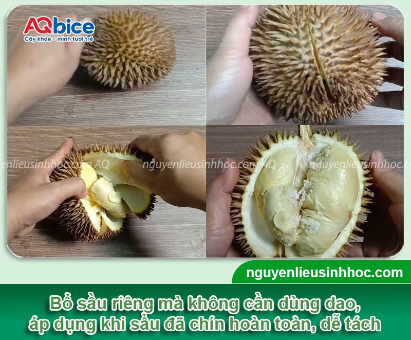 Bỏ túi 2 cách khui sầu riêng đơn giản, cực nhanh tại nhà 3 Bỏ túi 2 cách khui sầu riêng nhanh nhất đơn giản ngay tại nhà