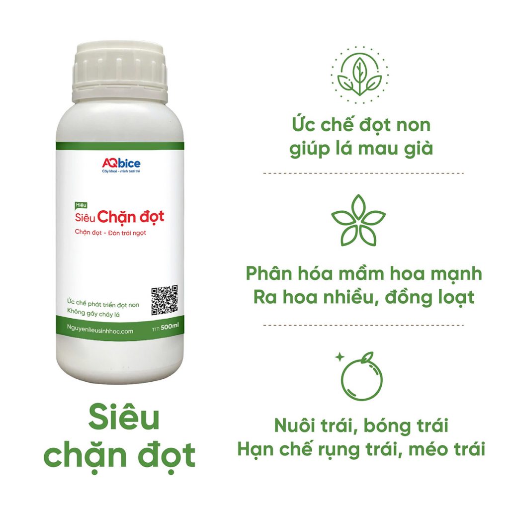 Thuốc siêu chặn đọt ức chế đọt, rụng lá non, thúc đẩy ra hoa