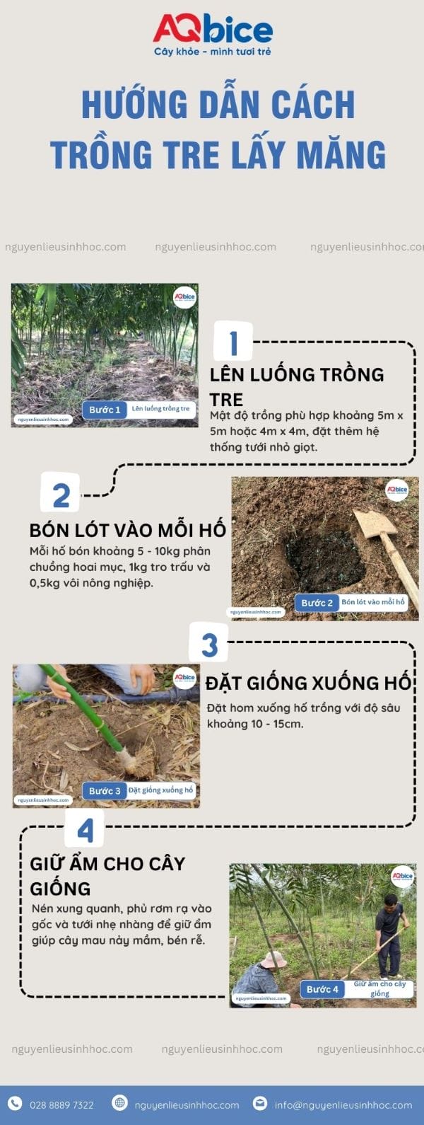 Hướng dẫn trồng tre lấy măng đúng kỹ thuật, mau nảy chồi 4 Hướng dẫn trồng tre lấy măng đúng quy trình, mau nảy chồi