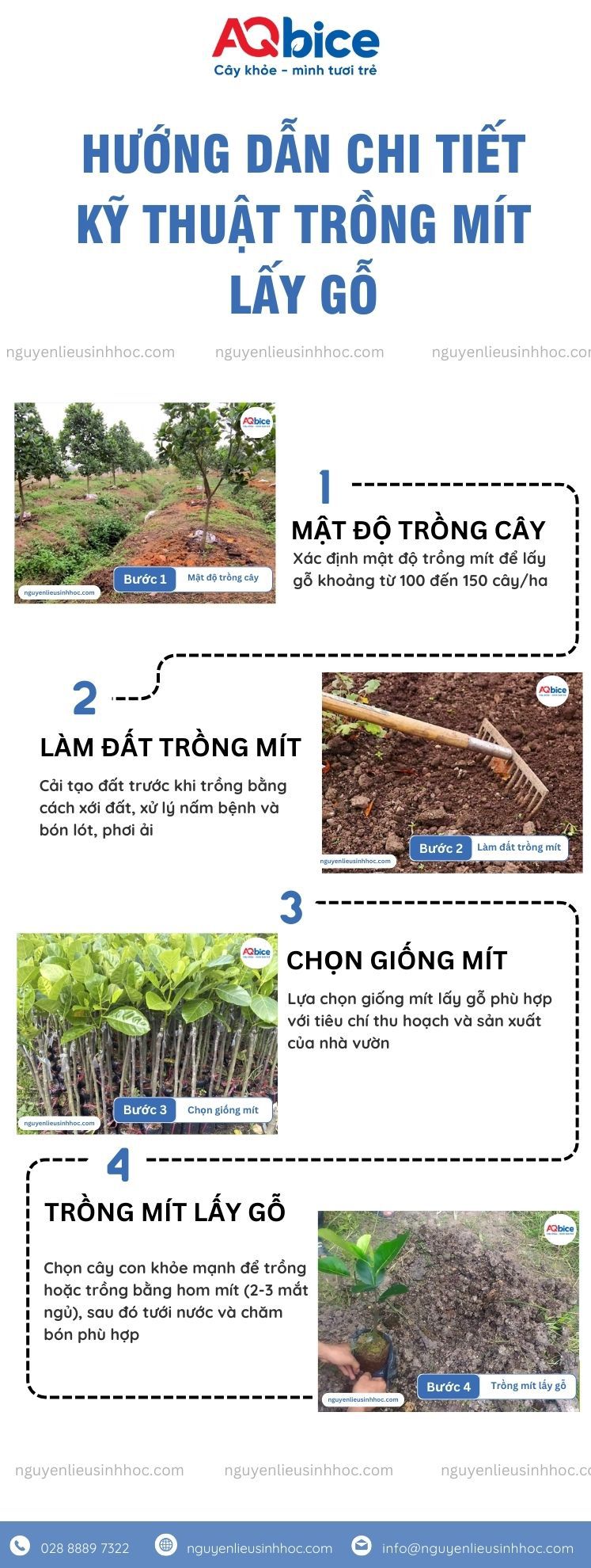 Trồng mít lấy gỗ bao lâu? Giá mỗi khối gỗ mít bao nhiêu? 3 Trồng mít lấy gỗ bao lâu? Giá mỗi khối gỗ mít bao nhiêu?
