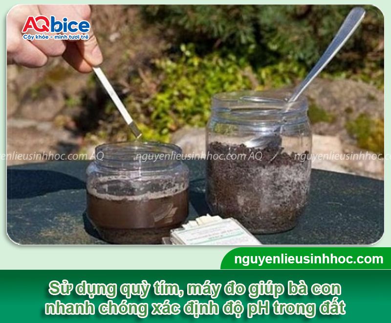 Hướng dẫn cách tăng độ pH cho đất, khử chua, hạ phèn 3 Hướng dẫn cách tăng độ pH cho đất, nâng cao năng suất cây trồng