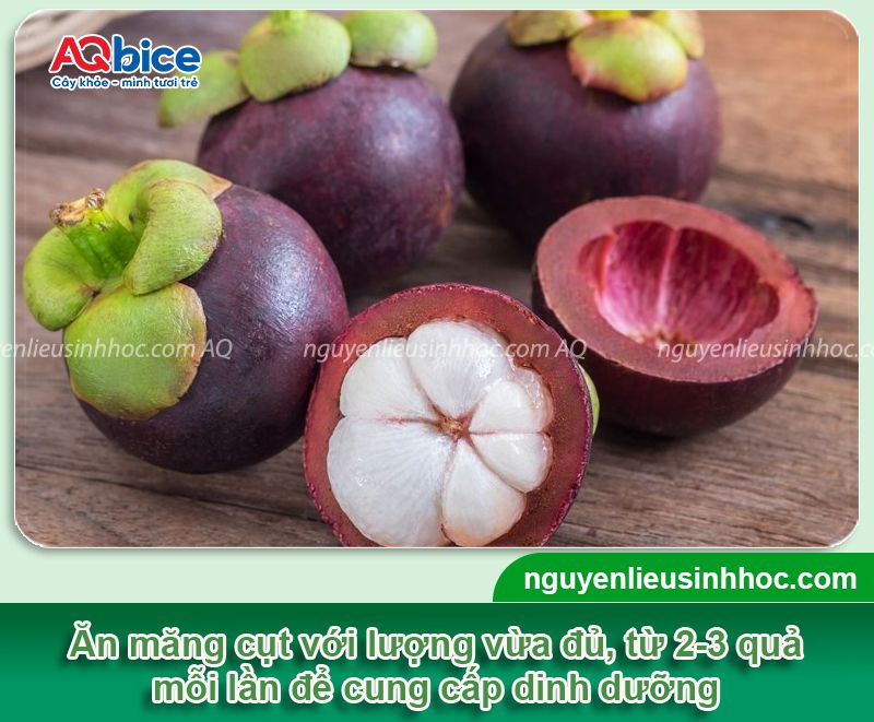 Bật mí các mẹo nhỏ áp dụng cho cách chọn măng cụt ngon