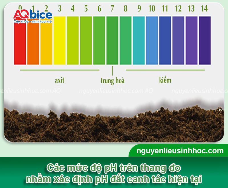 Hướng dẫn cách tăng độ pH cho đất, khử chua, hạ phèn 2 Hướng dẫn cách tăng độ pH cho đất, nâng cao năng suất cây trồng