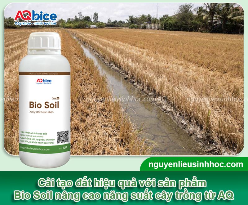 Hướng dẫn cách tăng độ pH cho đất, nâng cao năng suất cây trồng