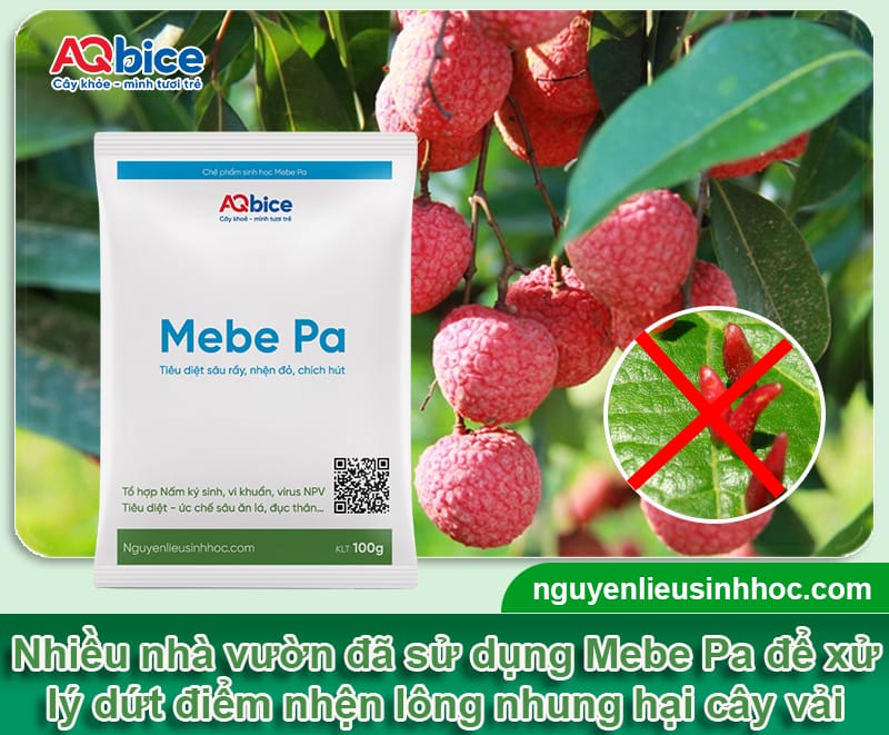 Nhận biết nhện lông nhung hại vải và Cách xử lý dứt điểm 4 Nhận biết nhện lông nhung hại vải và Cách xử lý dứt điểm