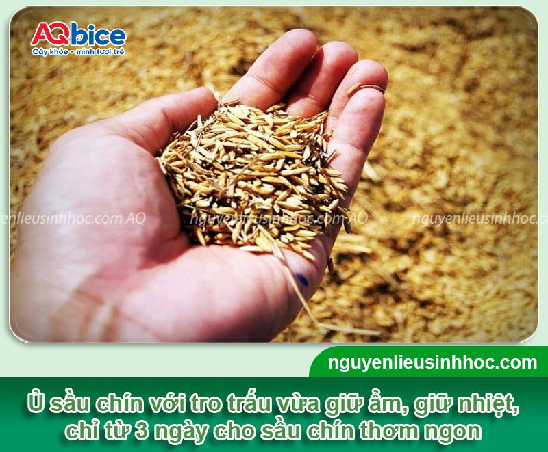 Top 8 cách ủ sầu riêng nhanh chín tự nhiên, an toàn tại nhà 3 Top 8 cách ủ sầu riêng nhanh chín tự nhiên, an toàn tại nhà