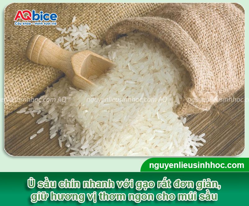 Top 8 cách ủ sầu riêng nhanh chín tự nhiên, an toàn tại nhà 2 Top 8 cách ủ sầu riêng nhanh chín tự nhiên, an toàn tại nhà