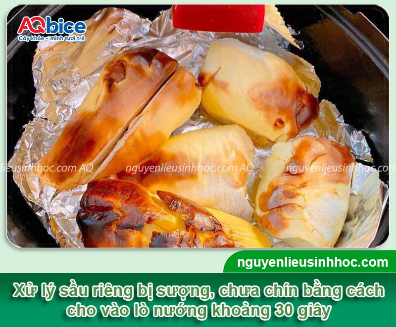 Cách xử lý sầu riêng chưa chín đã bổ nhanh chóng, đơn giản 4 Xử lý sầu riêng chưa chín, giải quyết tình trạng sượng cơm
