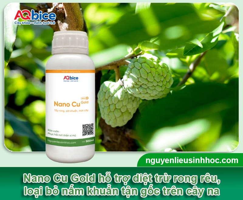 Cách cắt tỉa cành na: Bí quyết cho vụ mùa được bội thu 4 Cách cắt tỉa cành na: Bí quyết cho vụ mùa được bội thu